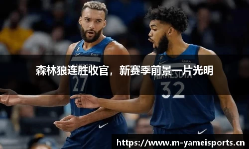 森林狼连胜收官，新赛季前景一片光明